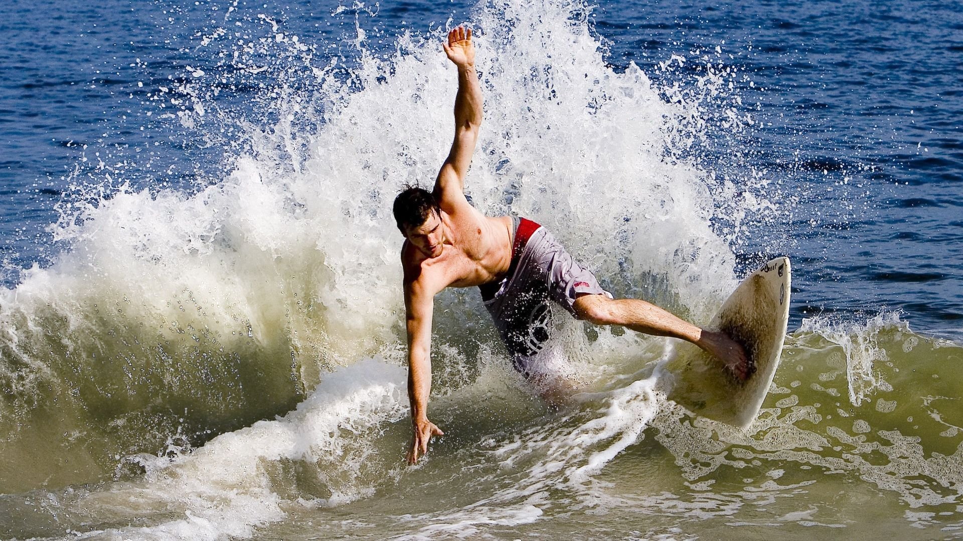 新闻中心发布人才引进计划，人才引进计划的具体要求